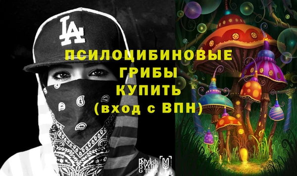 ECSTASY Абинск